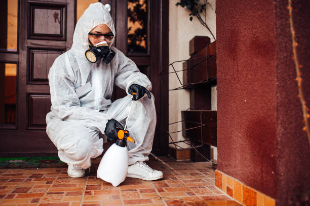 Attic and Crawl Space Rodent Treatment in Conashaugh Lakes