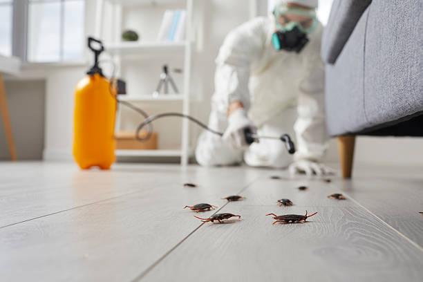 Commercial Rodent Management in Conashaugh Lakes